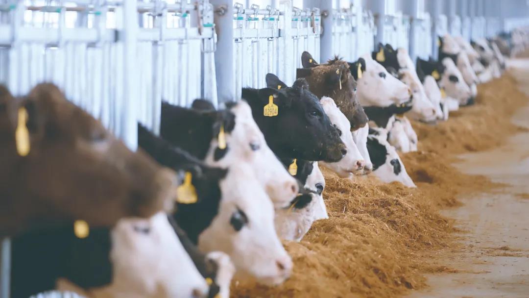 1641776144870068.jpg WeChat Image_20220110085526.jpg