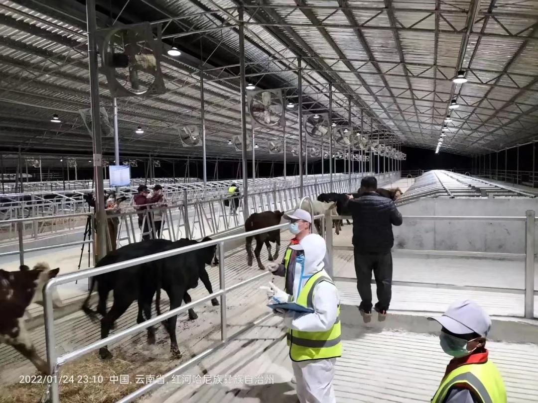 1643274146958896.jpg WeChat Image_20220127170214.jpg